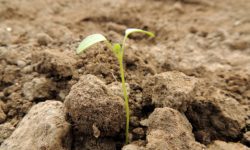 Poznaj samego Siebie