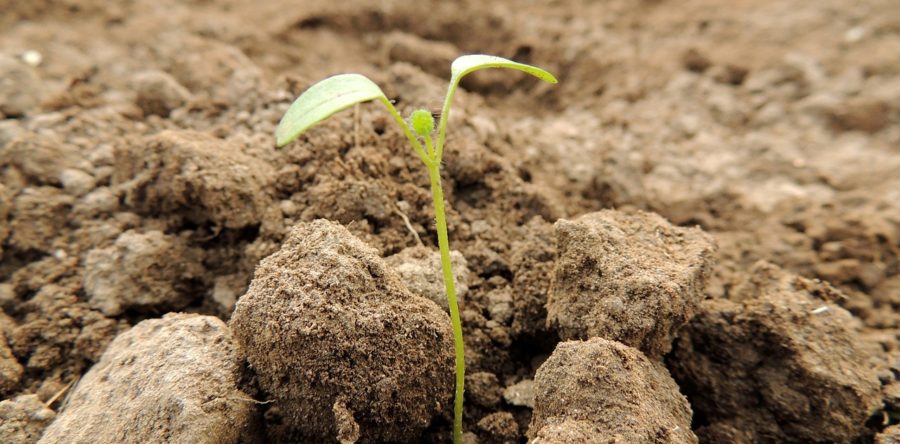 Poznaj samego Siebie