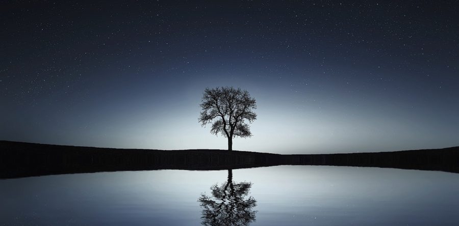 Nauka jak zostać bogatym – Wallace Wattles